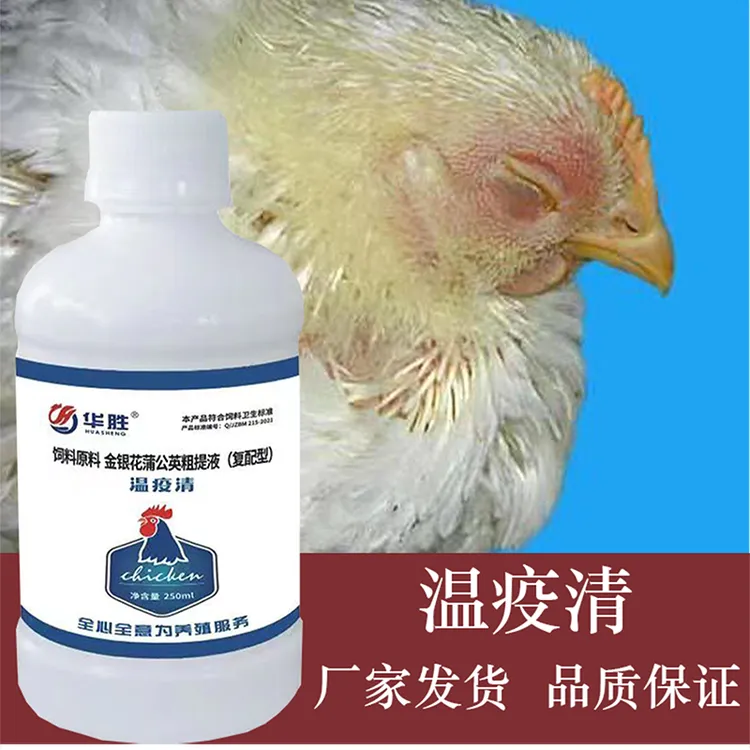 温疫情  鸡鸭鹅鸽子常见问题新城疫鸡瘟感冒流鼻涕养殖饲料添加剂