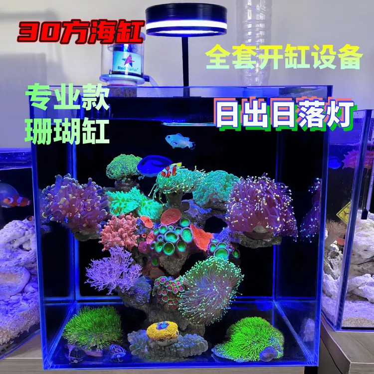 30方40方海缸海水鱼缸小丑鱼珊瑚背滤缸尼莫多莉海水缸蛋分海缸灯