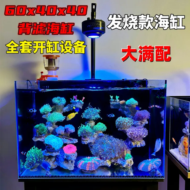 5060 长方形背滤海缸 50入门60*40*40海水鱼珊瑚海缸造景全套设备商品图