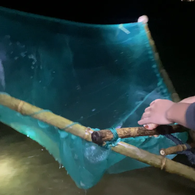 捞鱼苗 八字推网 网2.0m长 3.2m宽