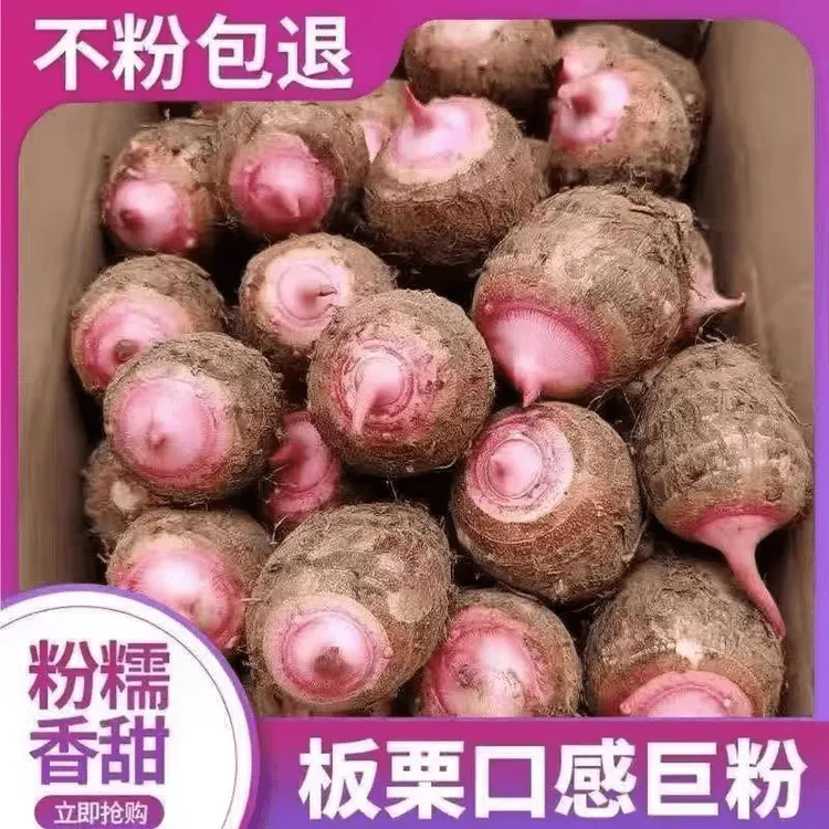 金华红芽芋艿新鲜现挖软糯毛芋头香芋小芋头红芋艿5/3/1斤芋头