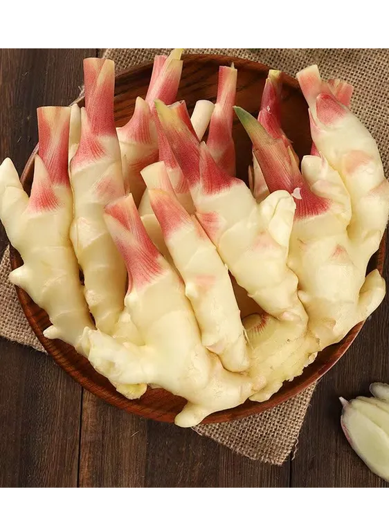 【山东胖子姜鲜姜】现挖鲜姜炒菜姜，可做姜脯姜糖片醋泡姜辛辣鲜香