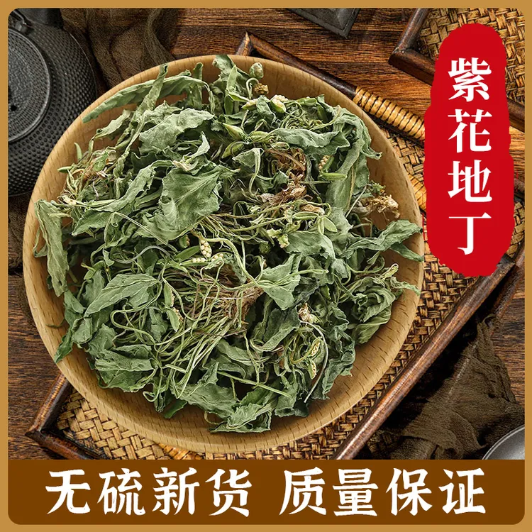 紫花地丁农产品好物天然晒干很少滑头草犁头草箭头草500g