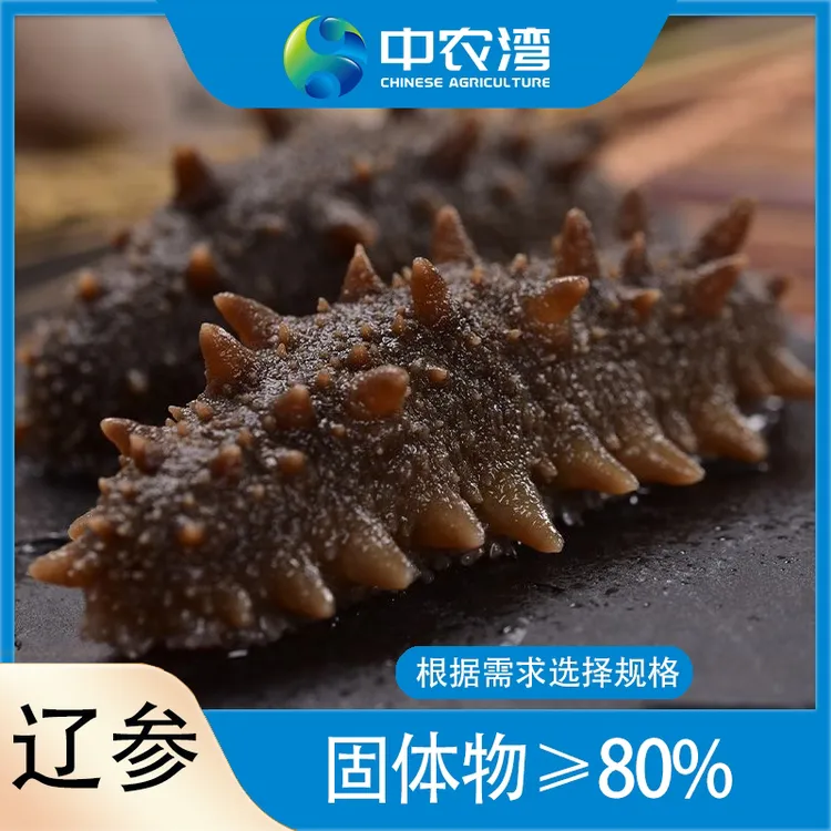 【辽参】中农湾即食海参16-24头/30-36头1kg(500g/袋*2) 固体物≥80%