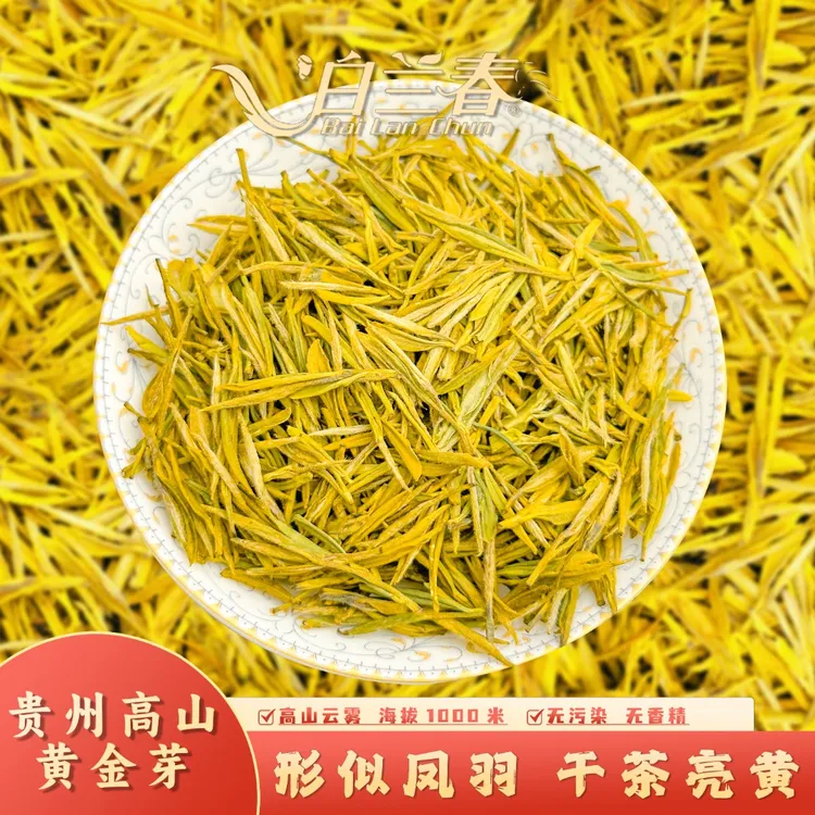 2025年白兰春新茶黄金芽明前茶贵州高山浓茶早春原鲜嫩