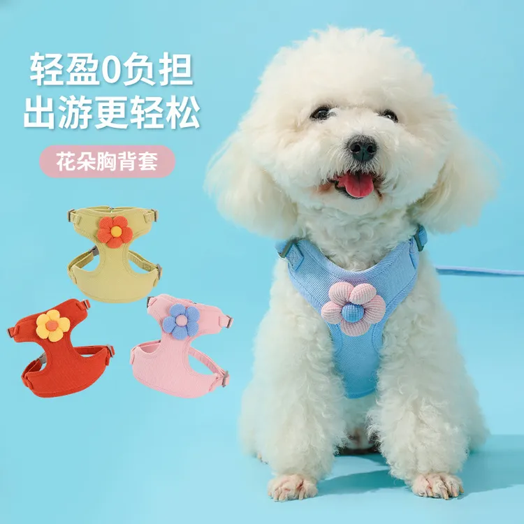 宠物牵引绳高颜值轻便胸背带狗外出中小型出行宠物猫绳舒适遛狗绳