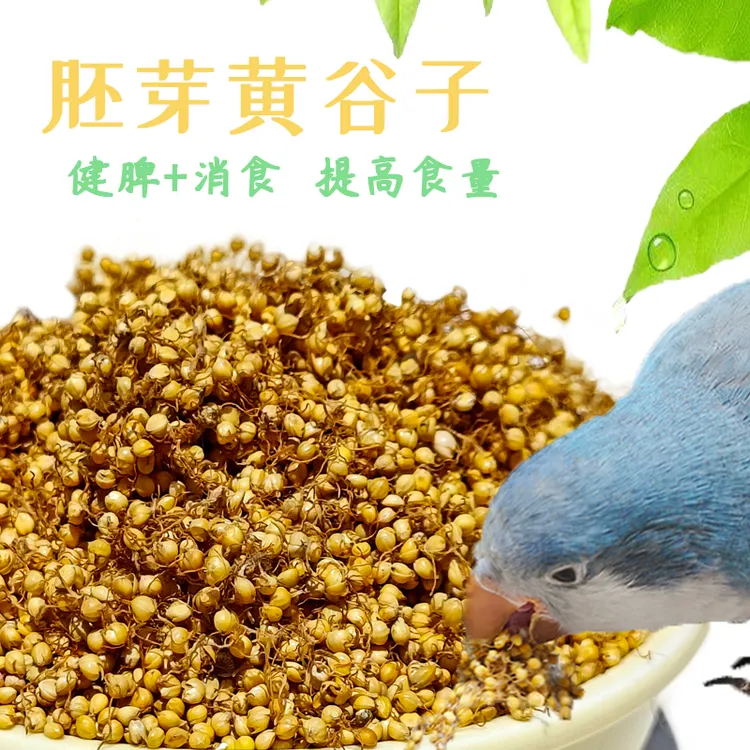 鹦鹉胚芽零系列虎皮牡丹玄凤和尚小太阳鹦鹉零食优选产品颗粒添加