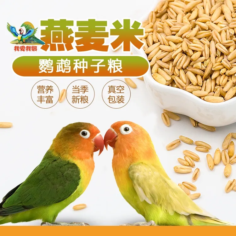 虎皮玄凤和尚牡丹小太阳鹦鹉粮燕麦米带壳粮鸟粮谷子鸟食