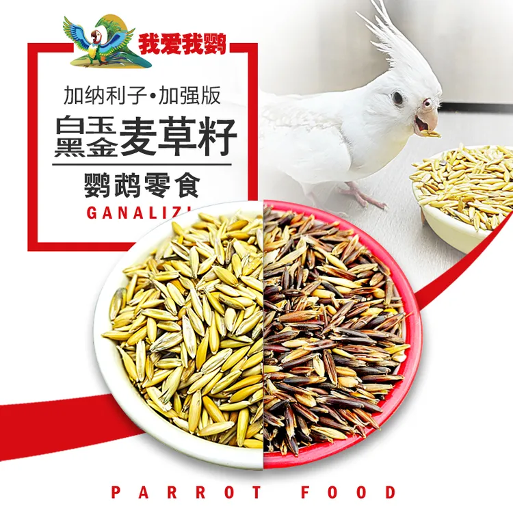 双色麦草籽虎皮玄凤牡丹和尚小太阳鹦鹉零食营养鹦鹉食粮鹦鹉鸟粮商品图