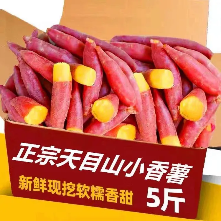 正宗临安天目山小香薯粉糯香甜地瓜5斤新鲜番薯好吃辅食健身代餐