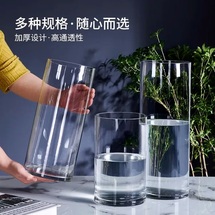 兜拍[1030] 直筒花瓶美男树龟背竹专用