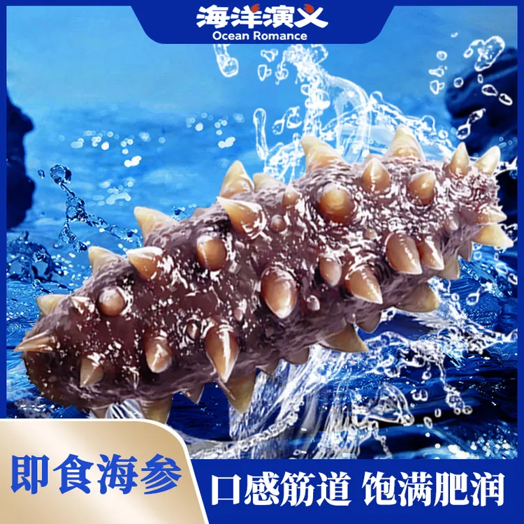 【精选】海洋演义 即食海参（8-10头）500g/包*3包 