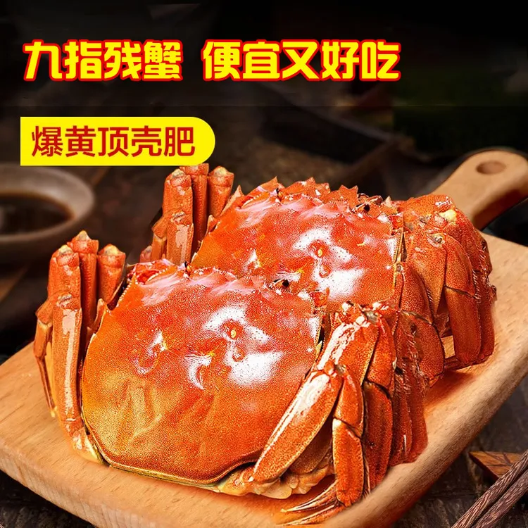 九指大闸蟹公母蟹10只大公蟹可到4.5两膏黄满大小蟹都有
