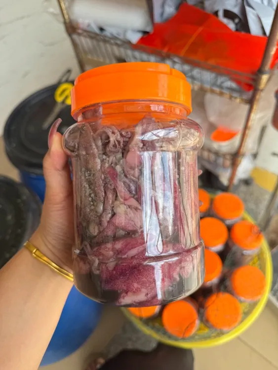 广东汕尾马宫本港腌鱿鱼尼仔解