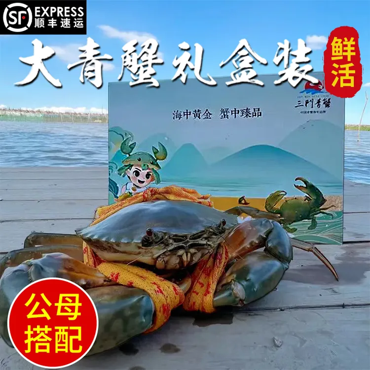 【公母搭配礼盒装】三门青蟹膏蟹公蟹 鲜活公母大螃蟹海鲜水产顺丰