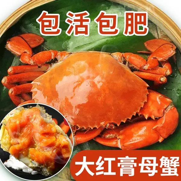 【幸运草】正宗三门青蟹礼盒装 大红膏蟹母蟹海鲜水产鲜活螃蟹红鲟