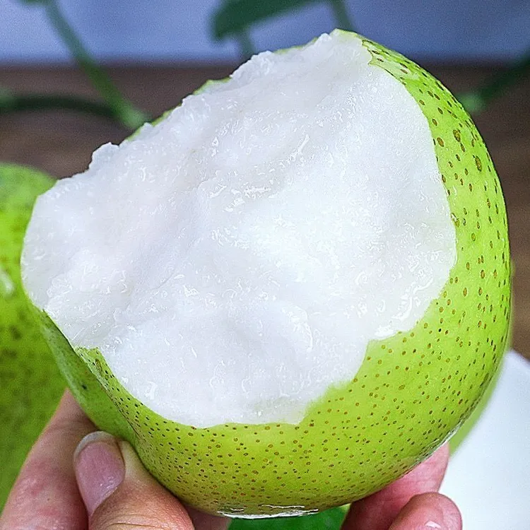 梨子头茬皇冠梨新鲜梨子当季现摘新鲜水果脆甜皮薄多汁整箱皇冠梨
