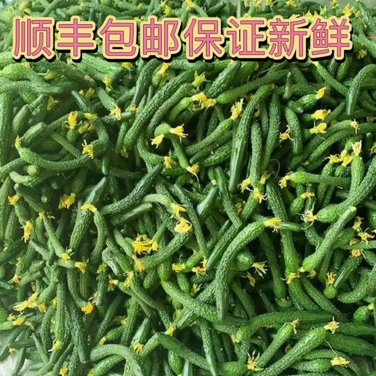 【顺丰包邮】新鲜小黄瓜扭手指粗细小黄瓜脆嫩小乳瓜小黄瓜淹酱瓜用