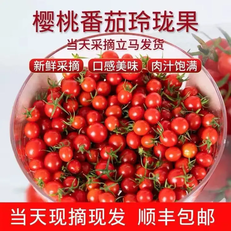 逢佳鲜【超甜爆汁皮薄】山东釜山88玲珑千禧新鲜樱桃小番茄孕妇水果