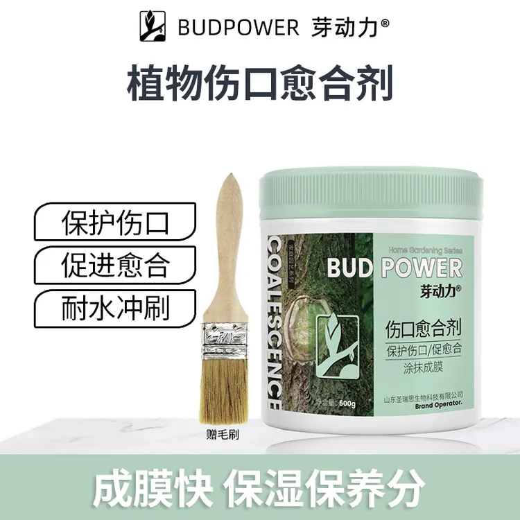 芽动力植物伤口愈合剂嫁接促活树木愈合果树盆景花卉伤口剪口防护