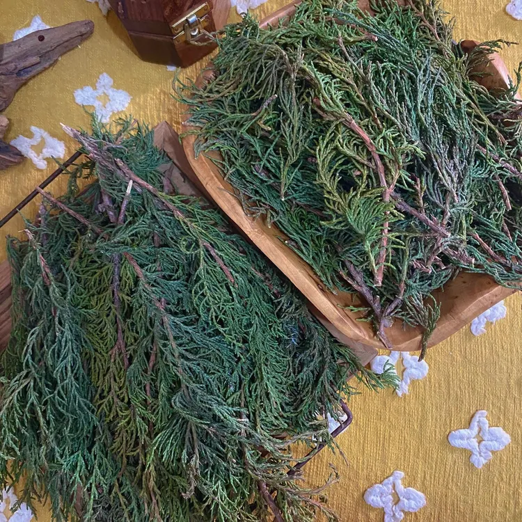 高原藏香柏香薰煨桑净化自然藏香藏香木藏香