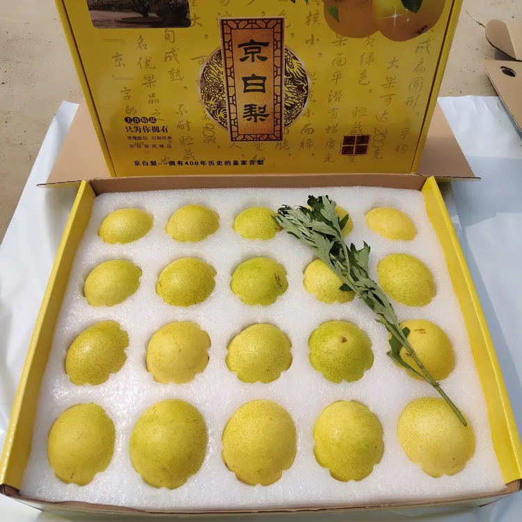北京特产 正宗门头沟京白梨 老品种老树果 自产自销皮薄多汁