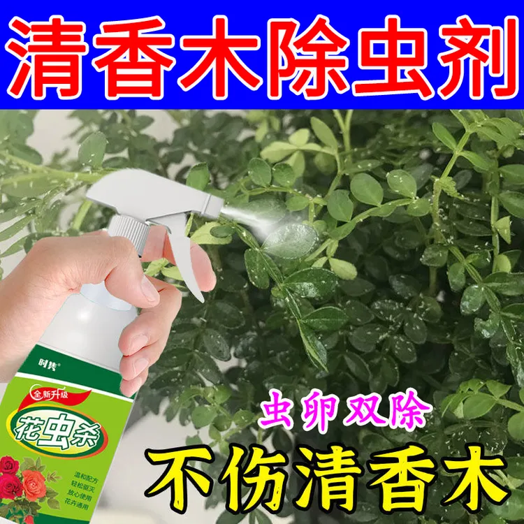 清香木营养液除虫剂红蜘蛛介壳虫蚜虫防虫害胡椒木盆栽防虫害肥料