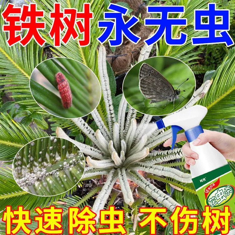 铁树专用营养液除虫剂蚧壳虫白粉虱灰蝶蓟马虫卵双除花卉通用肥料
