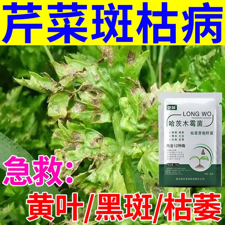 芹菜病害专用叶面肥芹菜黄叶根腐病叶斑麻叶斑枯软腐茎基腐病毒病