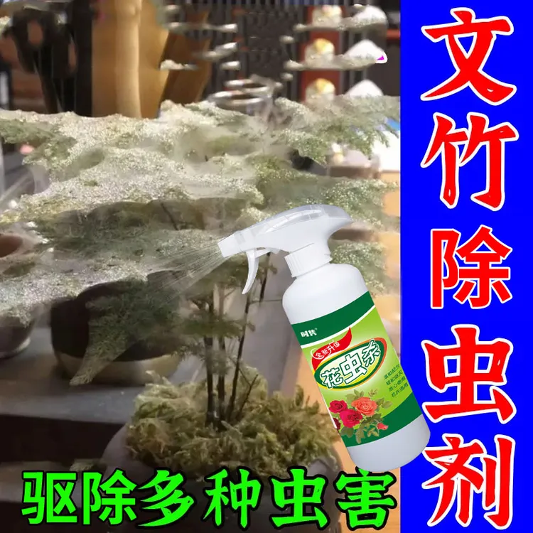 文竹专用驱虫肥红蜘蛛绿植花卉除虫剂驱蚜虫蓟马蚧壳虫腻虫营养液