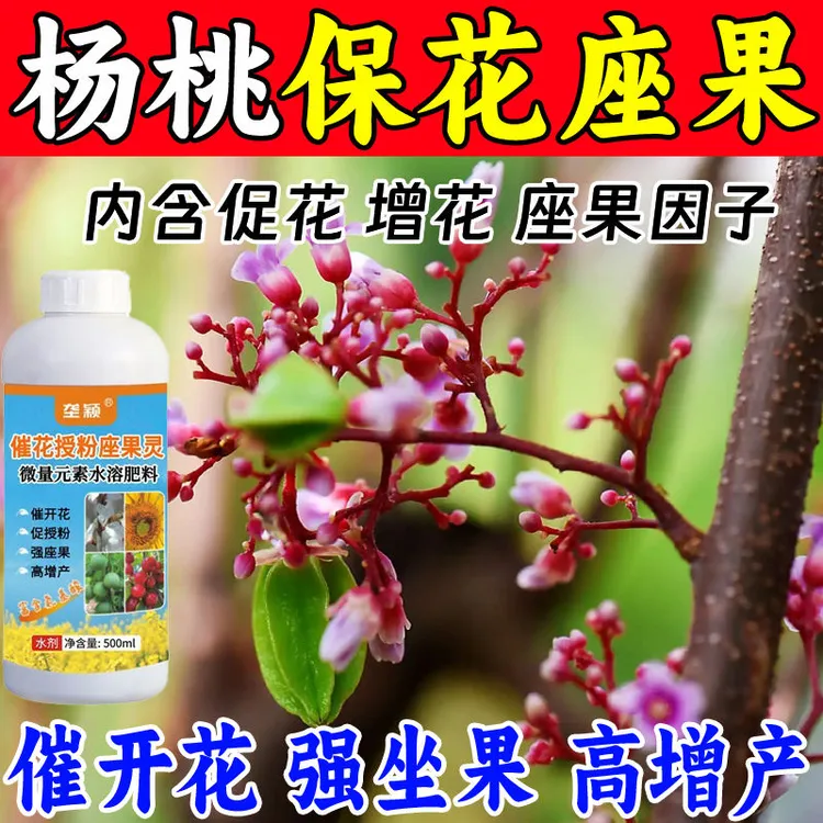 【杨桃开花不结果】杨桃催花授粉坐果灵果树保花保果膨大素增产肥料