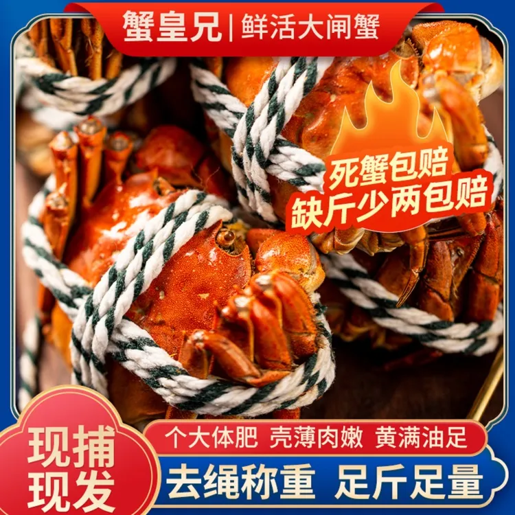【吃货特惠装】公3.5-3.8两母2.5-2.8两8-12只精品大闸蟹鲜活礼盒装