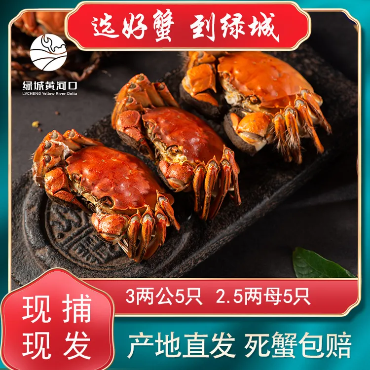 【鲜活现货】 黄河口大闸蟹3两公 2.5两母 10只装