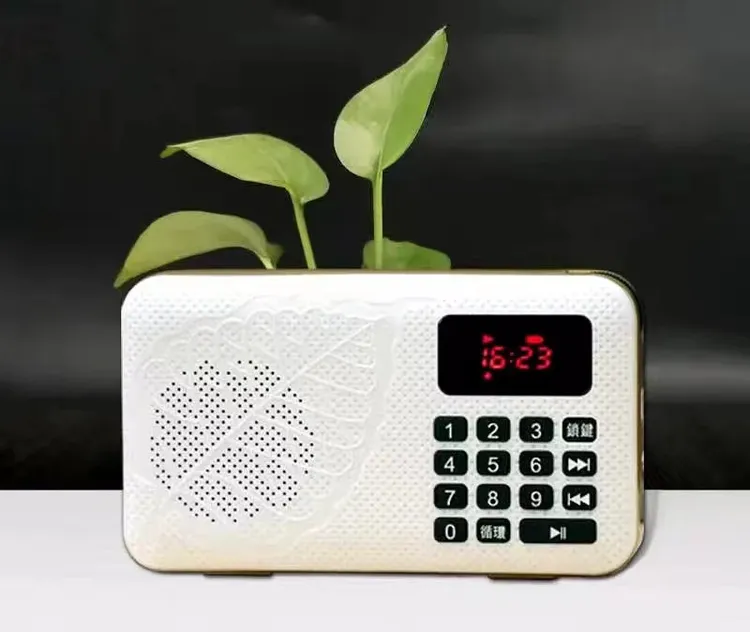 秦东魁播课机秦老师国学机