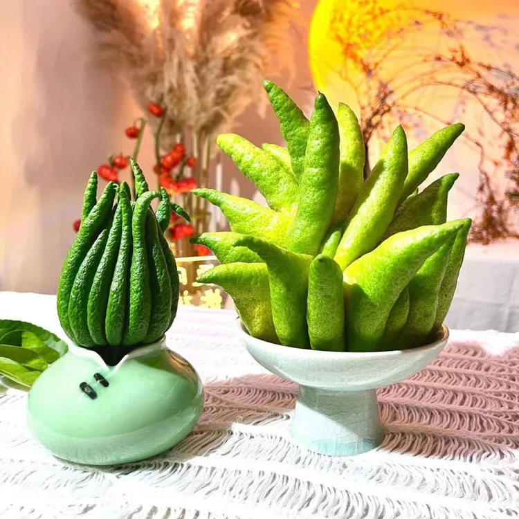 新鲜佛手柑佛手果千佛手观赏正宗绿植摆件闻香食用金佛手柑鲜果