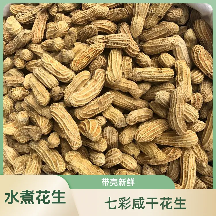 带壳新鲜七彩咸干花生