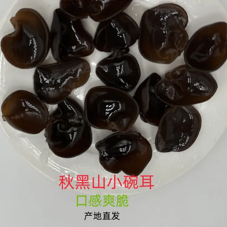 长白山秋木耳小碗耳林区木耳无根肉厚口感爽脆初级干货东北