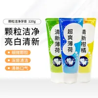 日本进口颗粒洁净牙膏清新口气薄荷清新120g