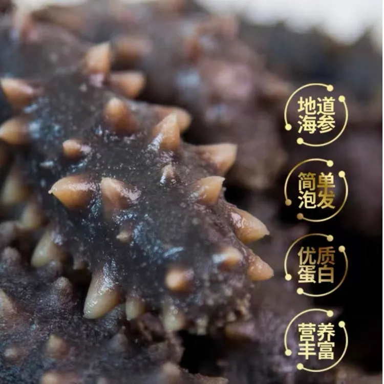 大连速发干海参45-50头/100g*2盒海参肽粉1盒2瓶2个泡发杯2条试吃