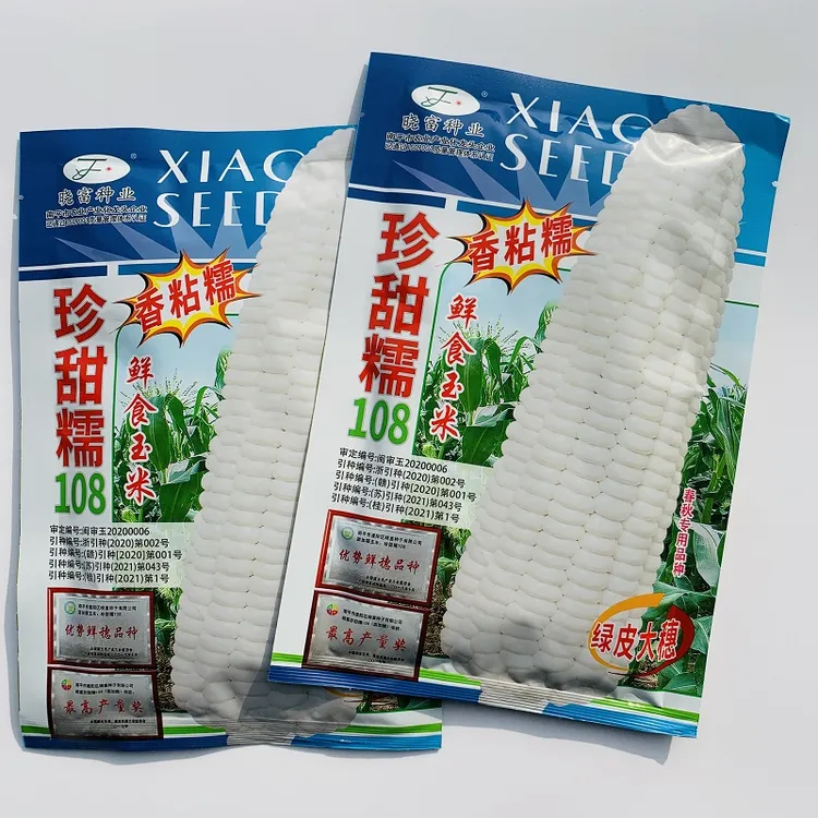 珍甜糯108超甜糯鲜食玉米种甜糯1:3鲜粒白春秋播种甜加糯非转基因