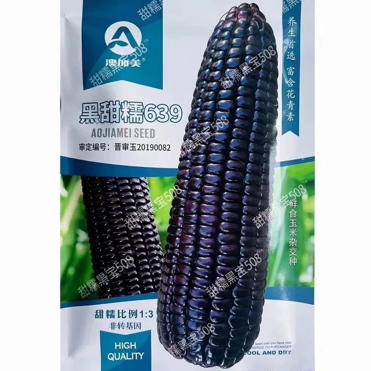 黑甜糯639玉米种子鲜食甜糯黑宝508黑糯玉米种籽春秋播种高产抗病