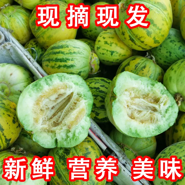 【周小闹专属】黑龙江新开园八里香香瓜东北甜瓜新鲜采摘时令水果