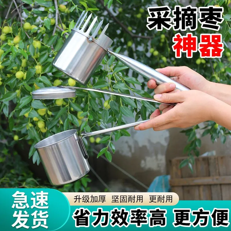 2024新款采果山枣柏树神器小枣工具扎手大号专用酸枣不锈钢摘果器