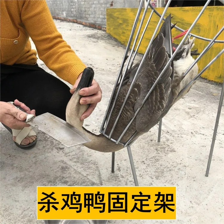 杀鸡神器杀鸡架放血固定架宰鸡杀鸡固定架家用实用工具杀鸡鸭固定