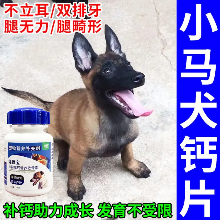马犬专用钙片高钙小马犬补钙壮骨助立耳狗狗腿无力趴蹄专用软骨素