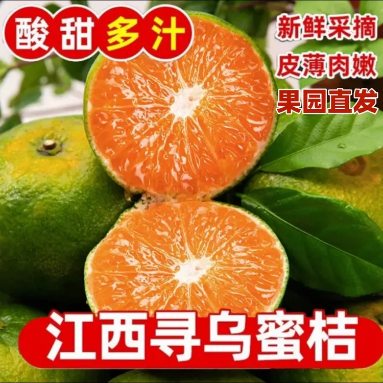 抢！江西赣南寻乌蜜橘现摘皮薄无籽青皮蜜橘孕妇新鲜应季水果