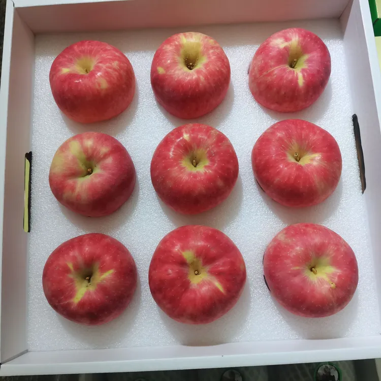 山西大宁县小金殿苹果