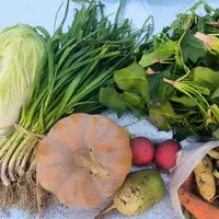 【蔬菜干货】【守根助农专场】地道家乡蔬菜干货 老乡自种自产自销