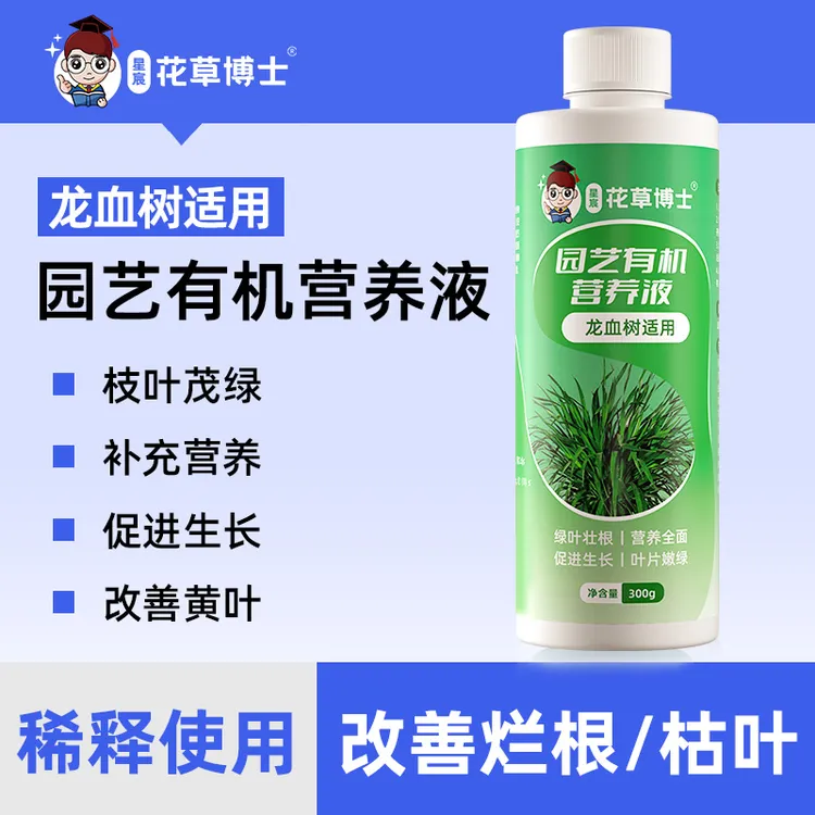 龙血树适用营养液绿植花卉园艺肥料补充微量元素生长商品图