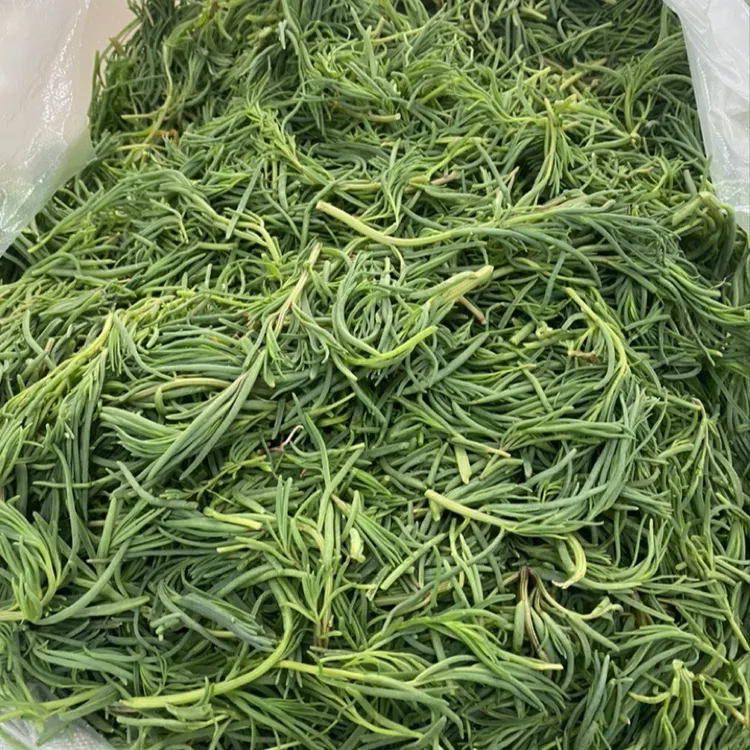 野菜黄须菜鲜嫩爽口适合多种吃法营养美味富含多种矿物质膳食纤维
